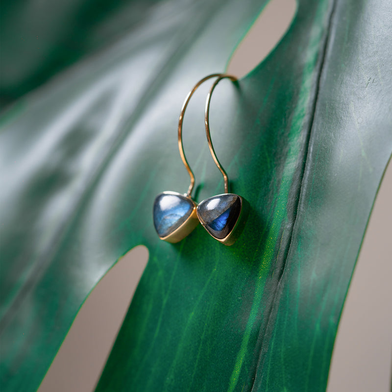 Labradorite Brass Earrings - Ayana Crystals