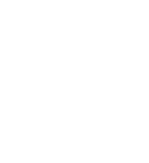 Overlay decorative image