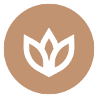 Why Certification Matters